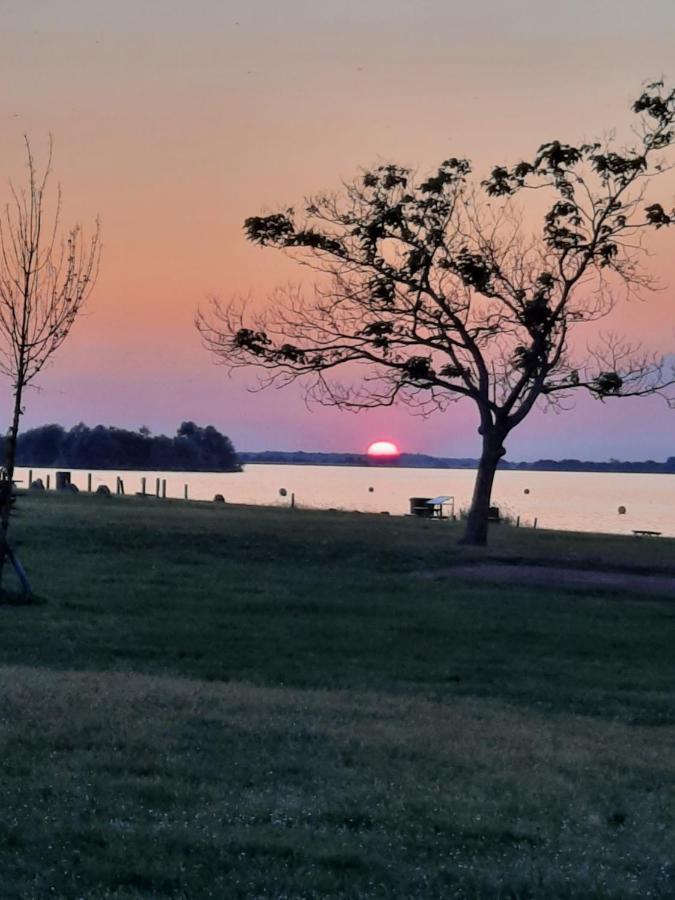 Marne Lac Du Der Joli Chalet Au Charme Du Der Chatillon-sur-Broue Dış mekan fotoğraf